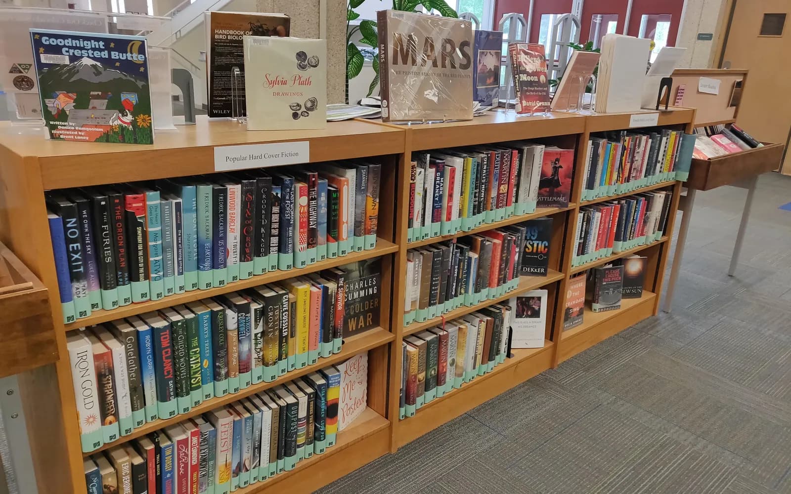 Books on a library shelf